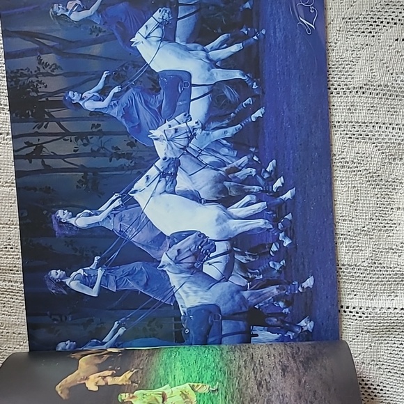 Cirque du soliel Cavalia Odesseo book - Picture 3 of 4